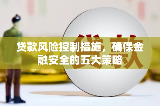 洛扎贷款风险控制措施，确保金融安全的五大策略