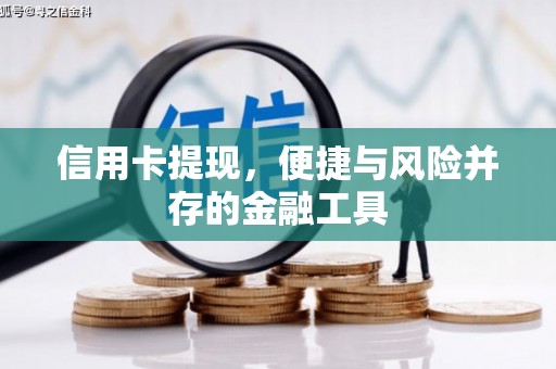 台西信用卡提现，便捷与风险并存的金融工具