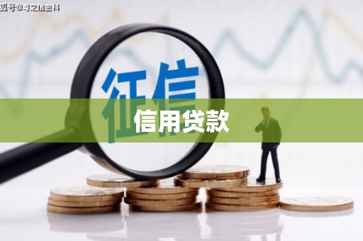 特克斯信用贷款