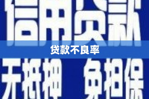 雨山贷款不良率