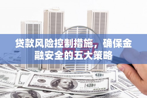 安南贷款风险控制措施，确保金融安全的五大策略