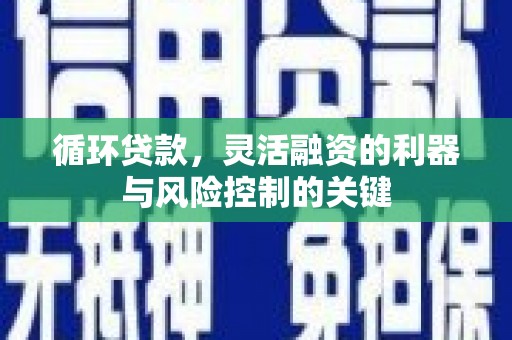 中原循环贷款，灵活融资的利器与风险控制的关键