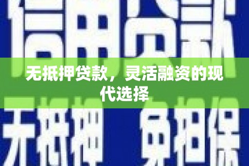 新蔡无抵押贷款，灵活融资的现代选择