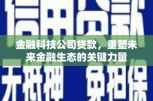 云林金融科技公司贷款，重塑未来金融生态的关键力量