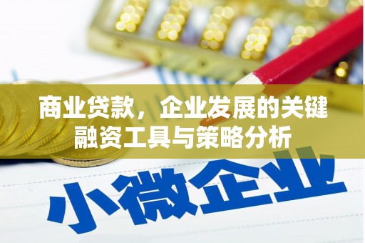 虎林商业贷款，企业发展的关键融资工具与策略分析