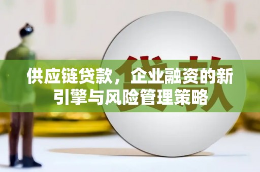 镇海供应链贷款，企业融资的新引擎与风险管理策略