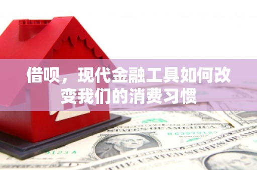 红山借呗，现代金融工具如何改变我们的消费习惯