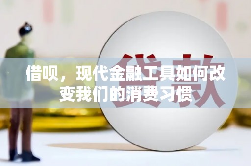 泰来借呗，现代金融工具如何改变我们的消费习惯