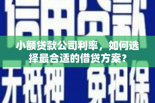 滨海小额贷款公司利率，如何选择最合适的借贷方案？