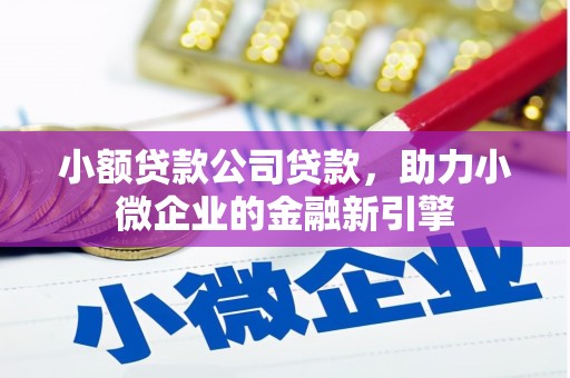 巴里坤小额贷款公司贷款，助力小微企业的金融新引擎