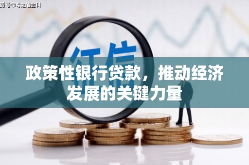 九龙政策性银行贷款，推动经济发展的关键力量