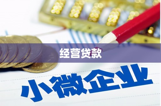 三元经营贷款