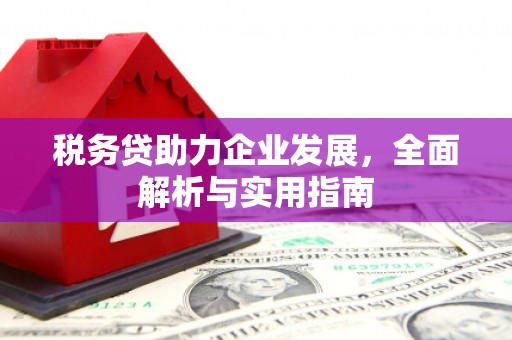 东胜税务贷助力企业发展，全面解析与实用指南