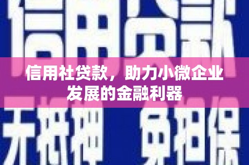 喀什信用社贷款，助力小微企业发展的金融利器