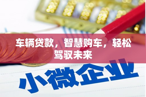 嘉兴车辆贷款，智慧购车，轻松驾驭未来