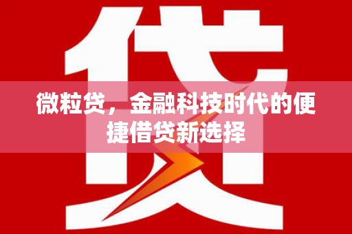 麻豆微粒贷，金融科技时代的便捷借贷新选择