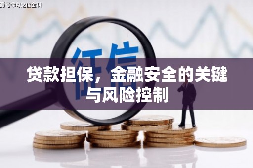 怀化贷款担保，金融安全的关键与风险控制
