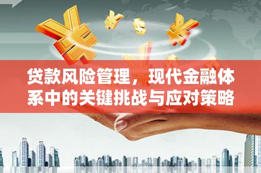 大化贷款风险管理，现代金融体系中的关键挑战与应对策略