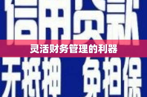 峡江灵活财务管理的利器