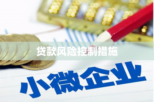宝兴贷款风险控制措施