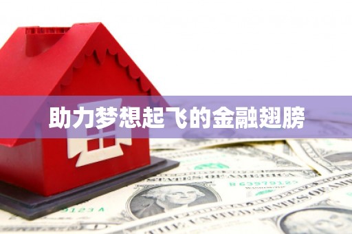 山上助力梦想起飞的金融翅膀
