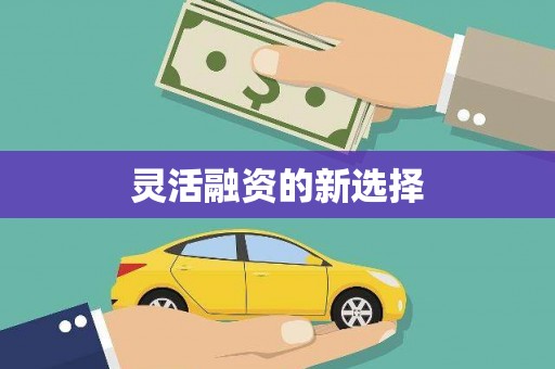 蒙阴灵活融资的新选择