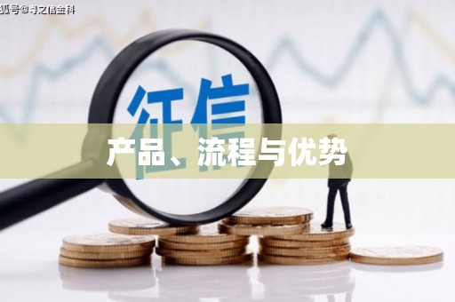 石龙产品、流程与优势