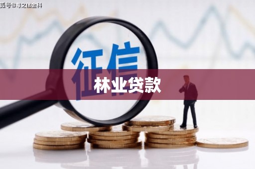 北斗林业贷款