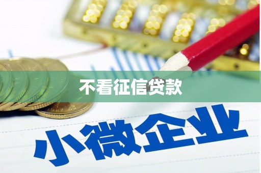 泰安不看征信贷款