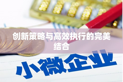 洪雅创新策略与高效执行的完美结合