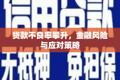 裕民贷款不良率攀升，金融风险与应对策略
